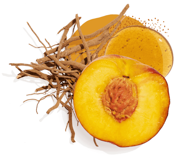 OrganicAdaptogens_Homepage_2-600×530